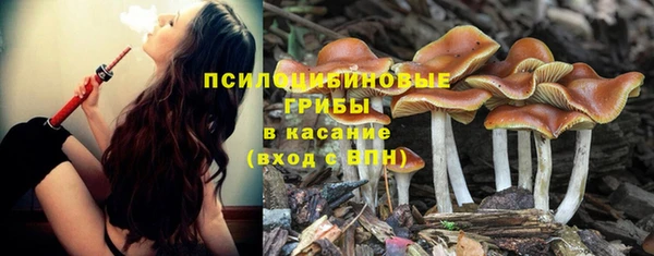 кокс Верея