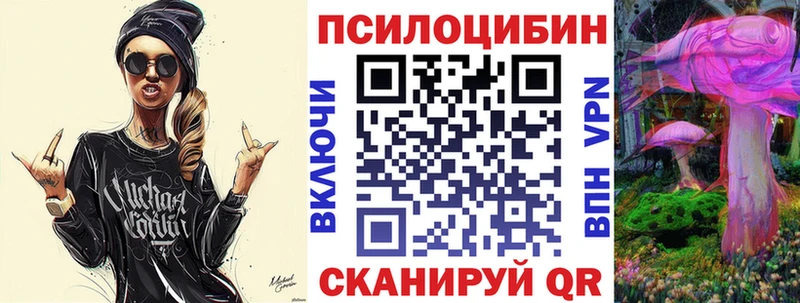 Псилоцибиновые грибы Psilocybe  Ноябрьск 